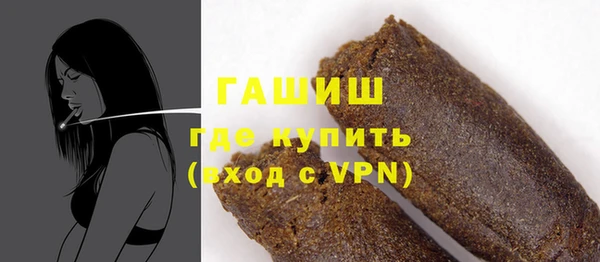индика Богородицк