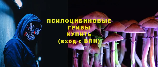 ECSTASY Сосновка