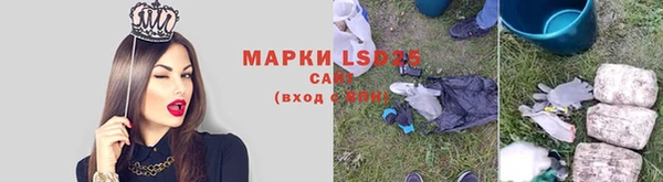 индика Богородицк