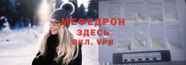индика Богородицк