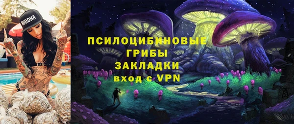 индика Богородицк