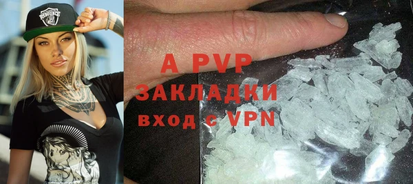 индика Богородицк