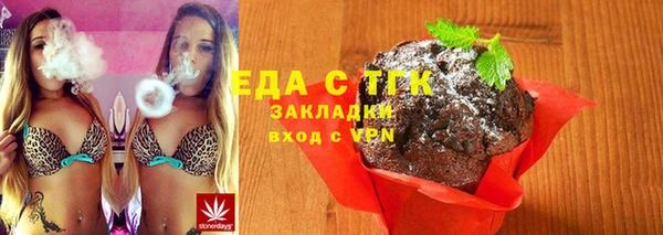 индика Богородицк