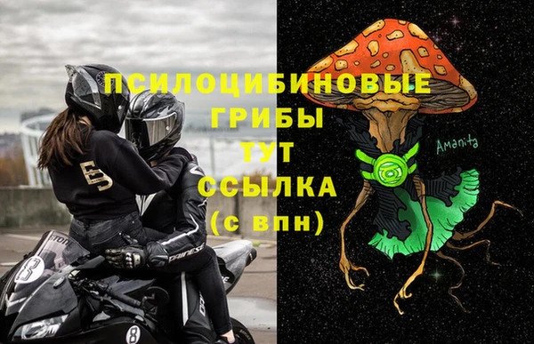 индика Богородицк