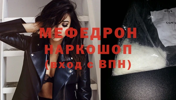 индика Богородицк
