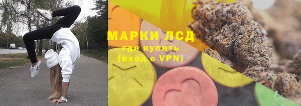 СК Богородск