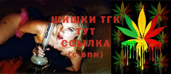 индика Богородицк